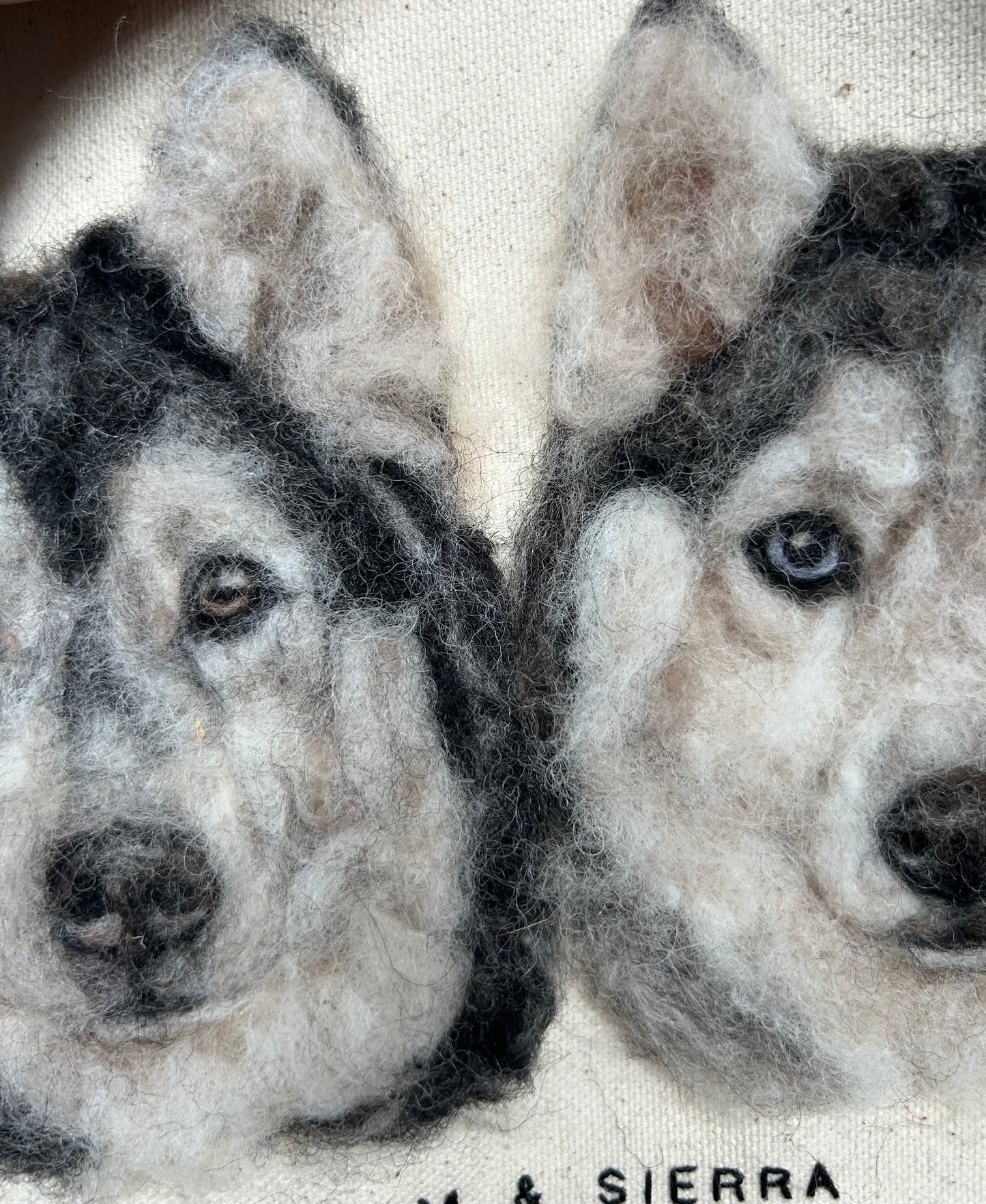 Two Pet Portrait