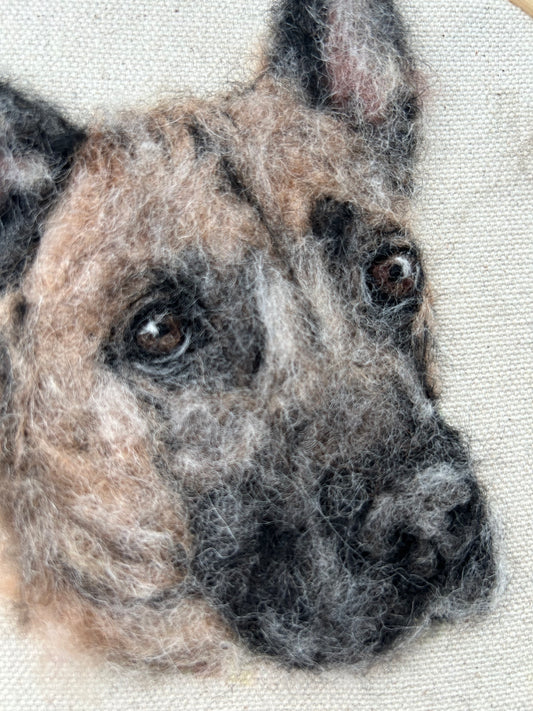 Felted Pet Portrait