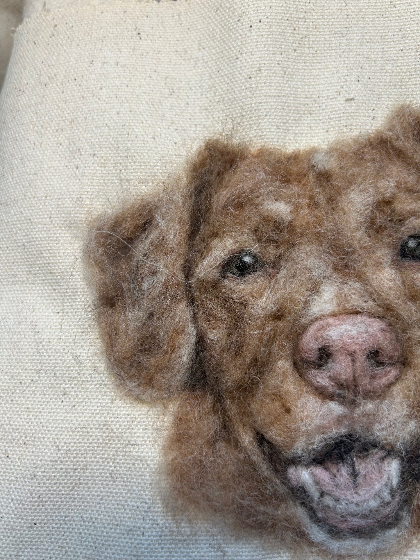 Felted Pet Portrait