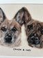 Two Pet Portrait