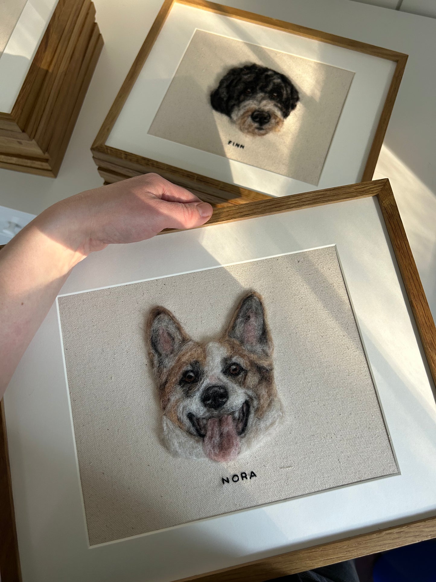 Single Pet Portrait