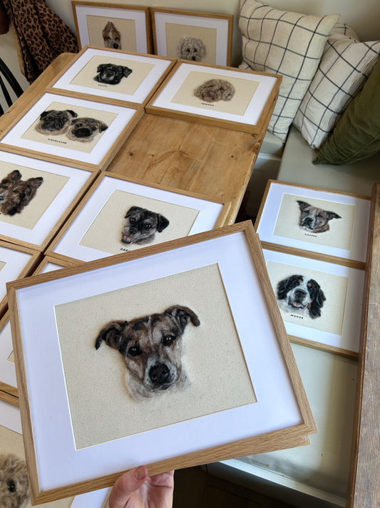 Frame add on