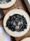 Felted Pet Portrait