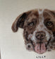 Felted Pet Portrait